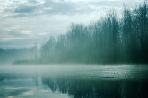 fog settles over a quiet pond edged by a forest of leafless trees